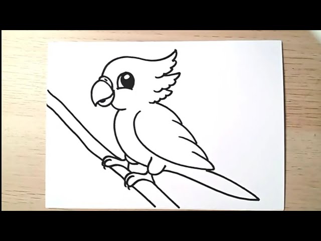 How To Draw Parrot: 30 Easy And Simple Bird Pictures With Guides To Learn  To Draw | Anxiety Relief And Relaxation Gifts For Beginners, Kids And More:  Krueger, Princess: 9798856457833: Amazon.com: Books