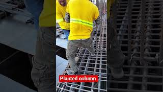 Planted Column! Tama Ba Ito? #Shorts