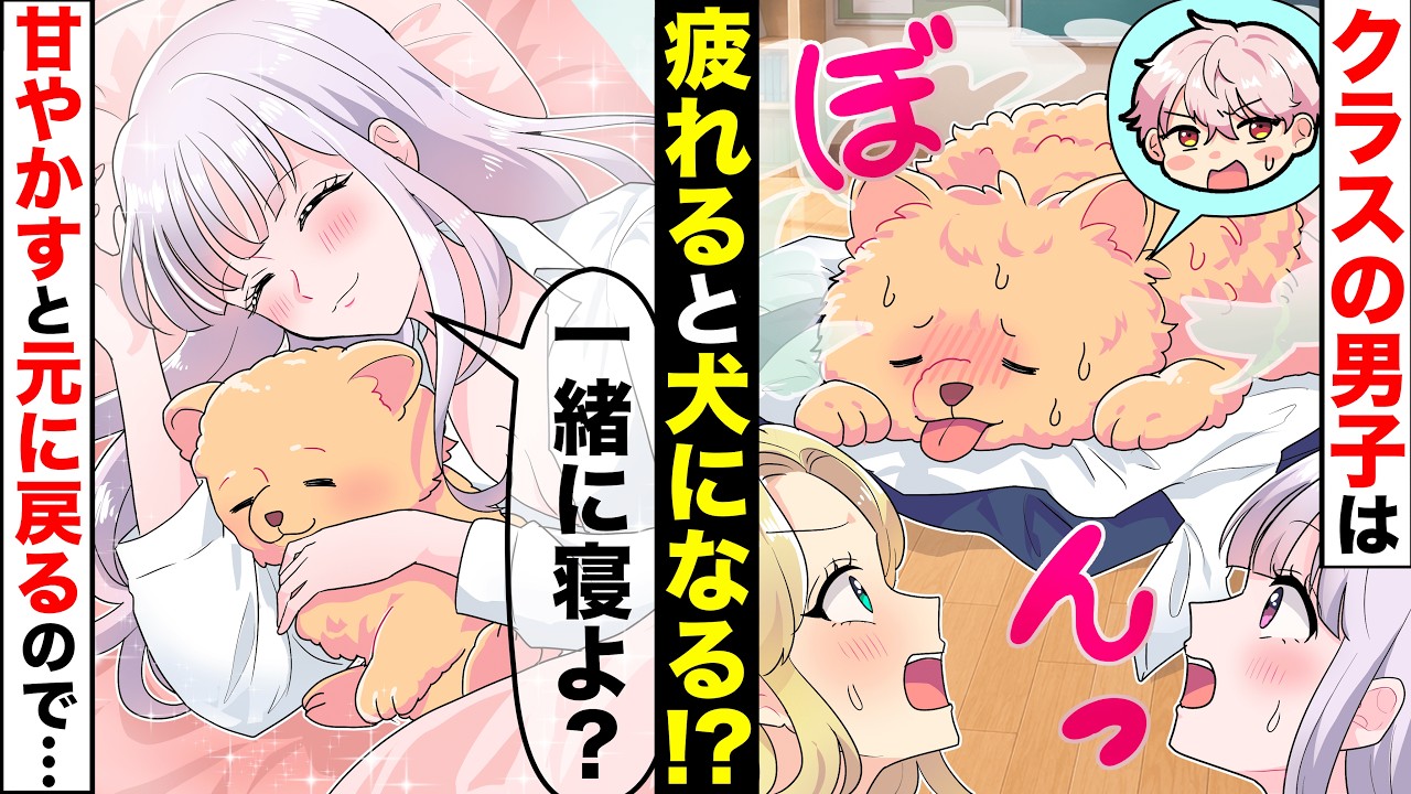 【貧乏少女シリーズ】イケメン男子高校生が犬化!癒されないと元に戻らないので甘やかしまくった結果 【ソプラノ漫画】【漫画】【マンガ動画】