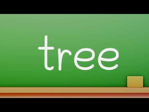 Letter T Bamboo Alphabet & Starter