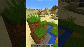 Minecraft Mini Plains Biome 💀 #shorts