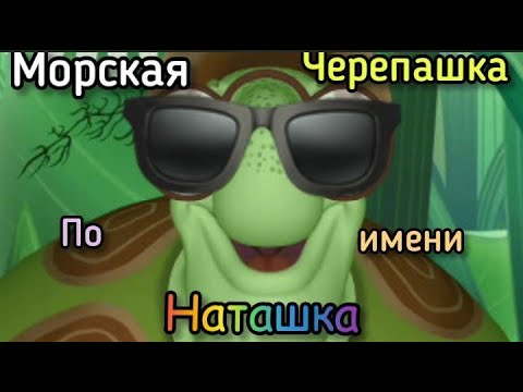 Смешная Черепашка Фото