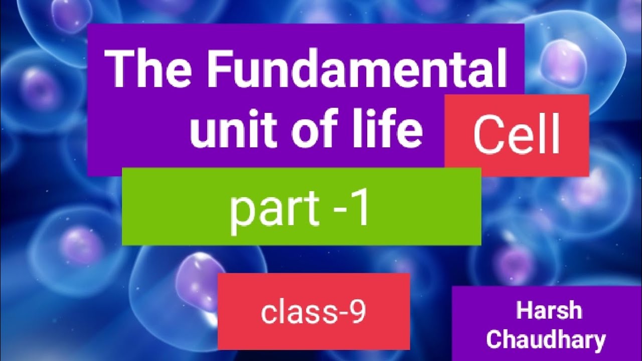 The Fundamental Unit of Life Class 9 Science Chapter 5 Biology CBSE ...