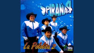 Video thumbnail of "Piraña 4 - La Pololita 2"