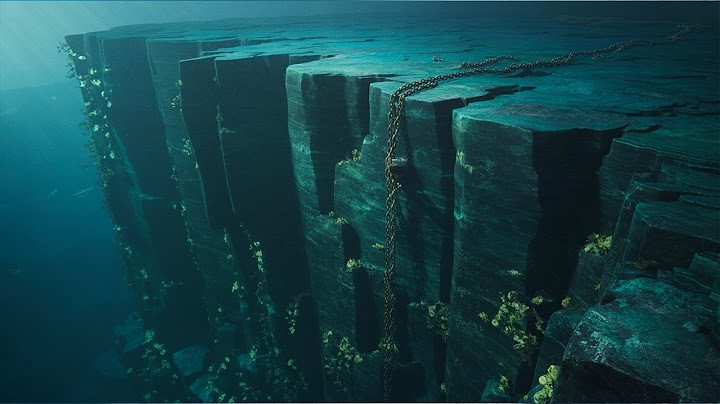 Abysses, l'ultime frontière : Les grands fonds marins - Documentaire complet - GD