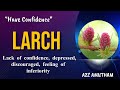 Larch is the remedy for people who feel that they are not as competent as others.