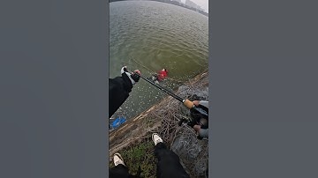 đi câu cá vô tình cứu được người đuối nước và cái kết #fishing #short