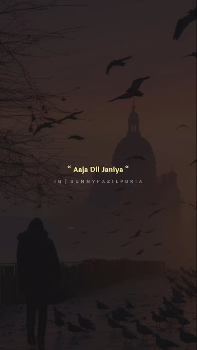 aaja dil janiya | ve aaja dil janiya | ve aaja dil janiya harnav brar status kadi te has bol ve lofi