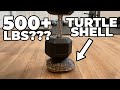 SHOCKING: How Much Weight Can a Turtle Shell Hold?!