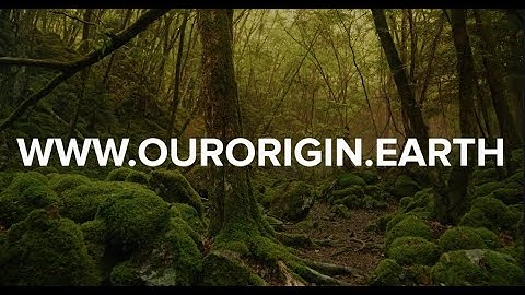 ORIGIN - A LAUNCH OF A MOVEMENT
