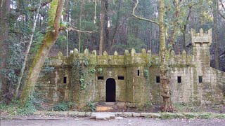 🌲 Bosque Encantado | Enchanted Forest 🏰 #explore #urbex