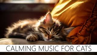 Soothing Music for Cats | Music to relax your cat, reduce anxiety ❤️😺