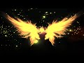 Angel by Lex van Someren