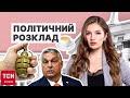 🔥 Політичний розклад від ТСН. Кава для Орбана, гранати у сільській раді і НОВІ ПОГРОЗИ від Путіна