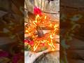 🔱 हर हर महादेव 🔱 | Powerful Mahadev Status Video | Mahakal Bhakti ❤️#javibe #mahadiv #jaimahakal