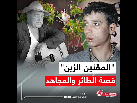 قصة الطائر والمجاهد تعرف على سر أغنية المقنين الزين