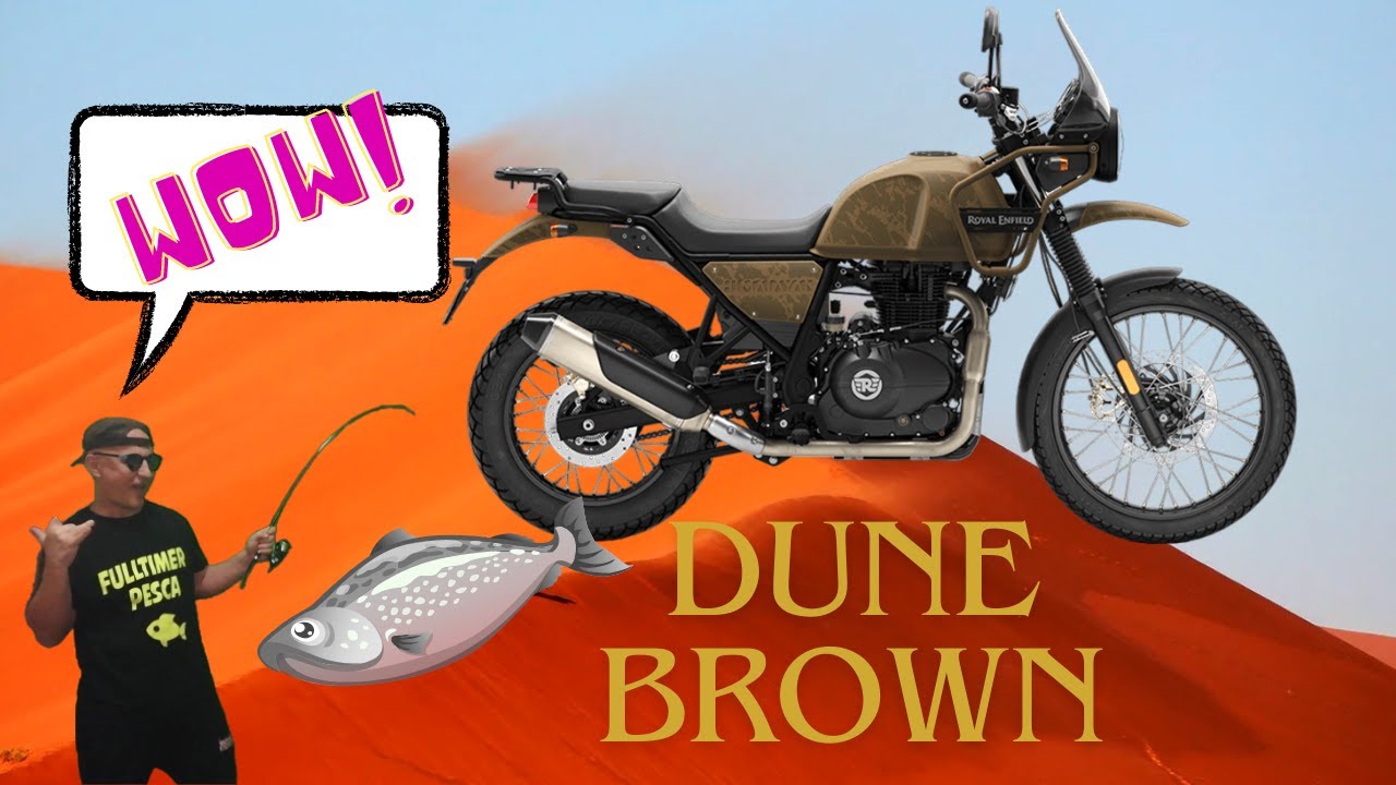 OGGI HO PRESO LEI Royal Enfield Himalayan 411 nuovo format 