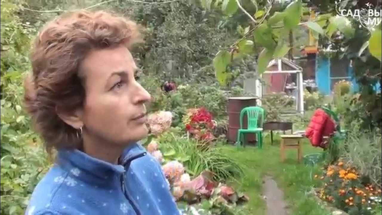 Садовый мир белгород. Садовый мир ютуб. Садовый мир с натальей петренко. Садовый мир новгород. Садовый мир новгород.