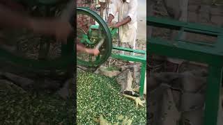 Pind Ni Dilo Niklda