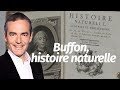 Au cœur de l'Histoire: Buffon, histoire naturelle (Franck Ferrand)