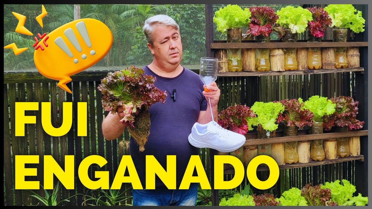 ALFACE EM VASO AUTO IRRIGADO DE GARRAFA PET COM CADARÇO POR CAPILARIDADE