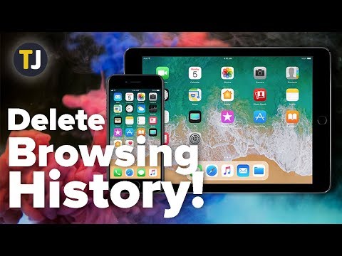 Delete Your Entire Internet History on iOS!