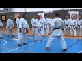 Pozvnka na semin 2016 okinawa karate a kobudo  kenyu chinen
