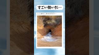 どこから出てるんだろう… #shorts #おすすめ #おもしろ #すごい #海外#バズれ