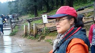1050714玉龍雪山雲山坪4