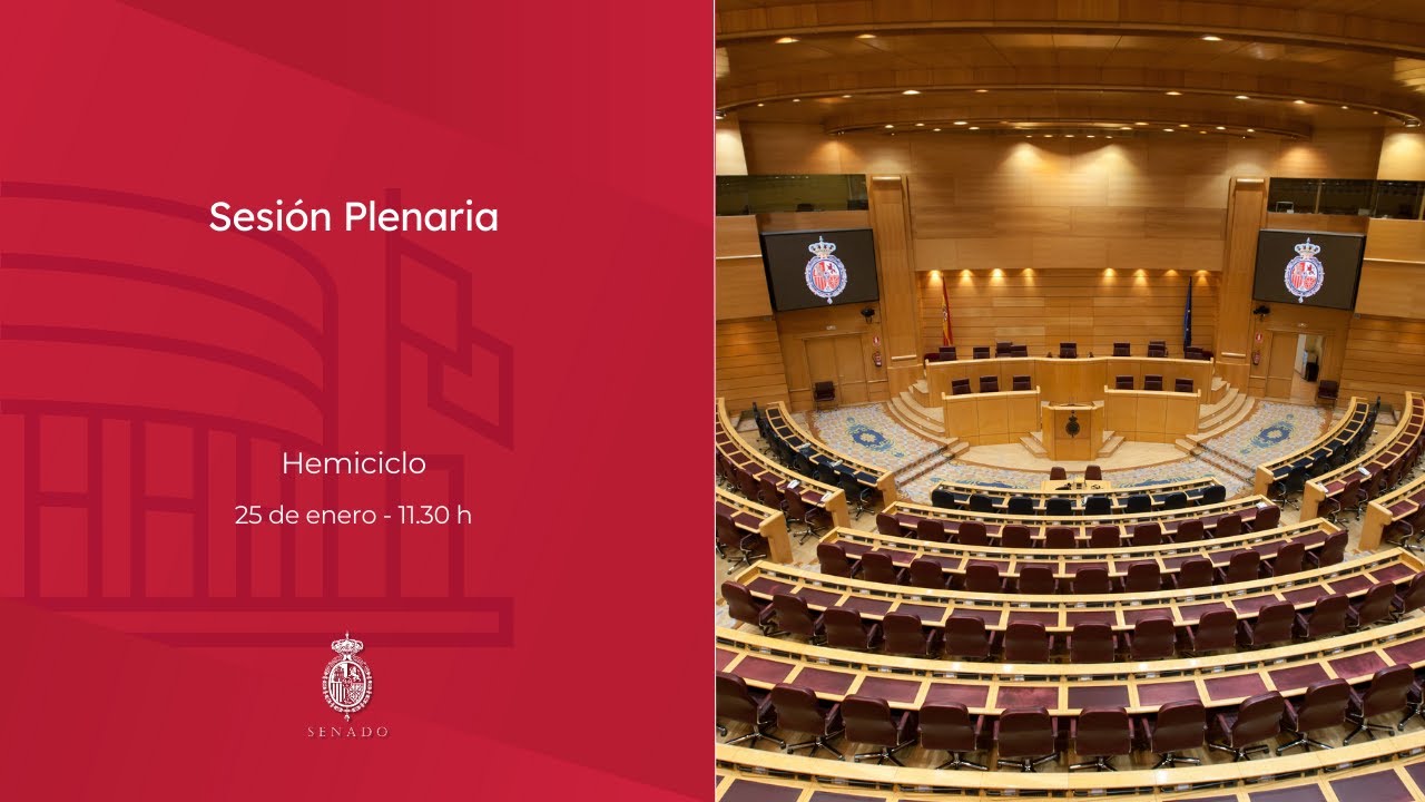 Sesión Plenaria - 25 de enero de 2024 - 11:30 horas - castellano - YouTube
