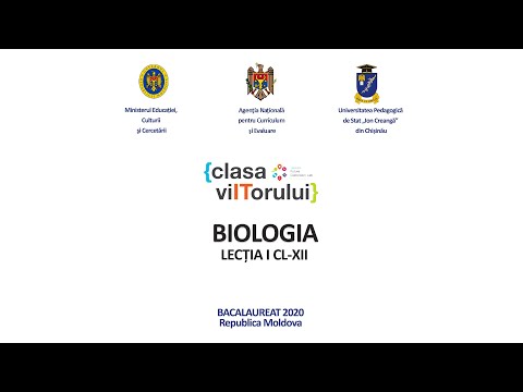 Video: Ce este ontogeneza și care sunt caracteristicile ei pentru societatea umană?