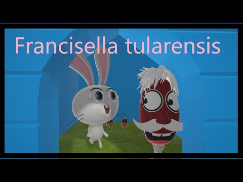 Francisella tularensis (Mnemonic)