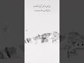 #beautiful #deeplines #hafiz #sammi #foryou #poetry #shortvideo #youtubeshorts #viralvideo