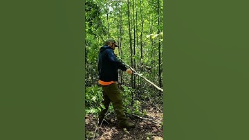 How to Build a Shelter in the Wild With Nothing But Trees #survival #bushcraft #tutorial