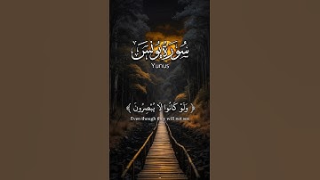 أَفَأَنتَ تَهْدِي الْعُمْيَ . للقارئ عبد الرحمن مسعد #تلاوة_خاشعة #ذكرى#عبدالرحمن_مسعد #تلاوة_هادئة