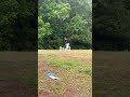Day 2 of trying to hit a hole in one