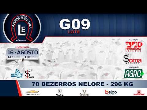 LOTE G09