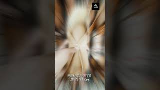 Punjabi Jutti Just 1550Rs Buy For Dm Me On Insta.