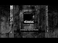 Scantraxx 040 Wildstylez Pleasure (HQ)