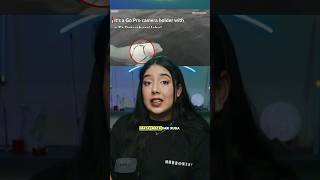 Rusia Ciptakan Hewan Sebagai Senjata