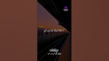 تلاوة تهز القلوب بصوت نادر ومؤثر #الشيخ_محمد_أحمد_حسن #تلاوة_مؤثرة #خشوع ما تيسر من سورة الحجرات
