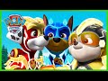 La Super Patrouille, Puissance Maximale: les clones de M. Hellinger - PAW Patrol