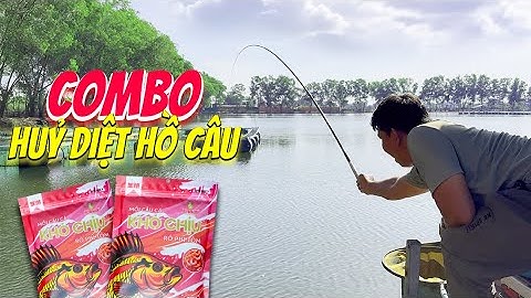 Câu Đài | Mang Cần Nhẫn Th2 và Rô Tôm Khó Chịu Trở Lại Hồ Câu Như Dương Bàu Tràm