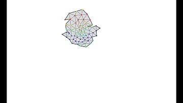 Evolved swimming multicellular animat with appendages (64 cells)