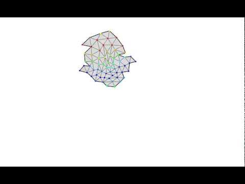 Evolved swimming multicellular animat with appendages (64 cells)