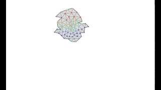 Evolved swimming multicellular animat with appendages (64 cells)