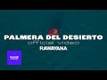 Rawayana - Palmera del Desierto (Video Oficial) #rawayana #palmeradeldesierto