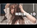 【韓国隔離Vlog】 親友たちと電話、デリバリー、ヘアケア🧚