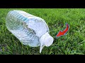 AFTER LEARNING THIS SECRET, you will NEVER throw away a plastic BOTTLE again! TOP 5 unique ideas