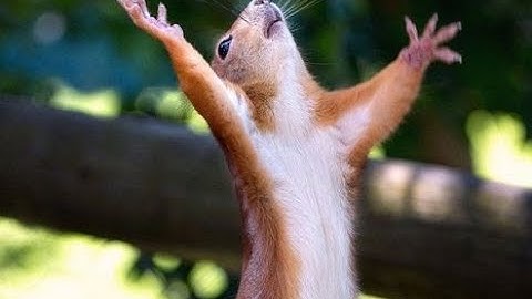 How to lose 1mill to one Mosin exit camper - Escape From Tarkov